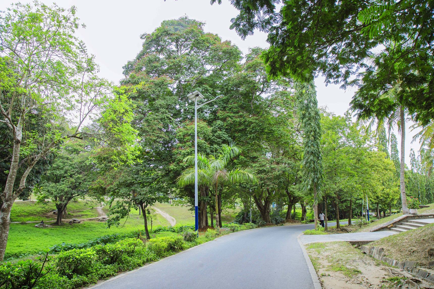 Green Excellence