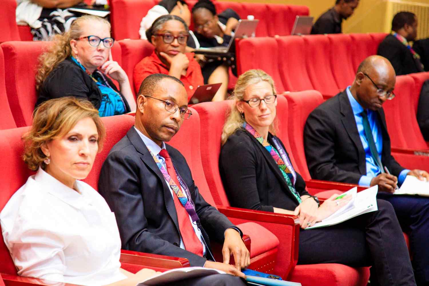  Annual Meeting of the Alliance for African Partnership (AAP)