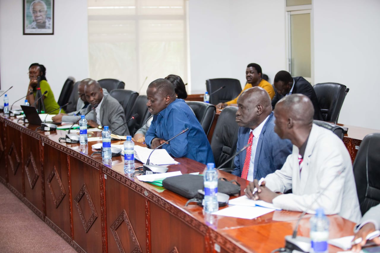 HEET Progress at UDSM