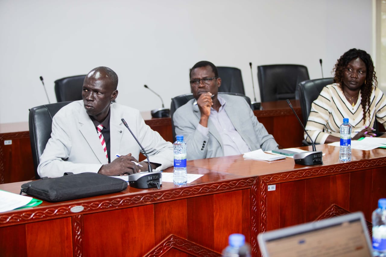 HEET Progress at UDSM