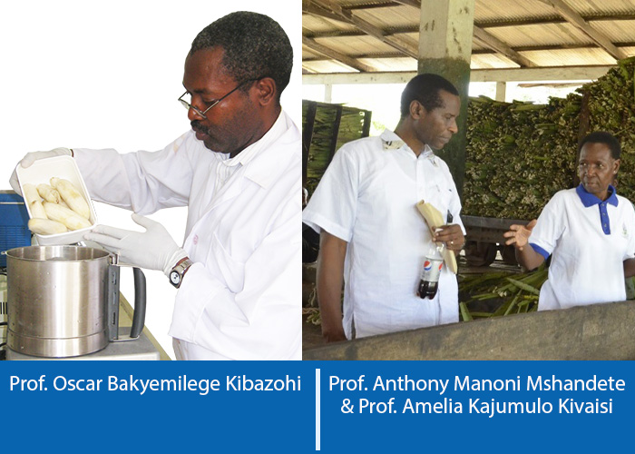 Patent for Groundbreaking Mushroom