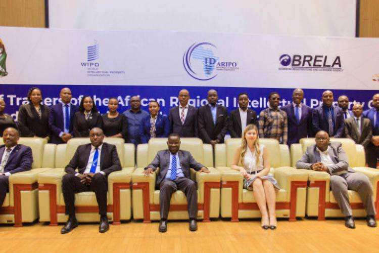 DSM-Intellectual Property