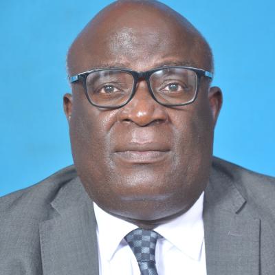 Prof. Projestine Muganyizi