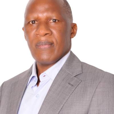 Profile picture for user minja.ellinami